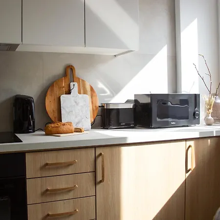 Vistula Nest Two Bedroom Apartment Near Kazimierz Krakow Exterior photo